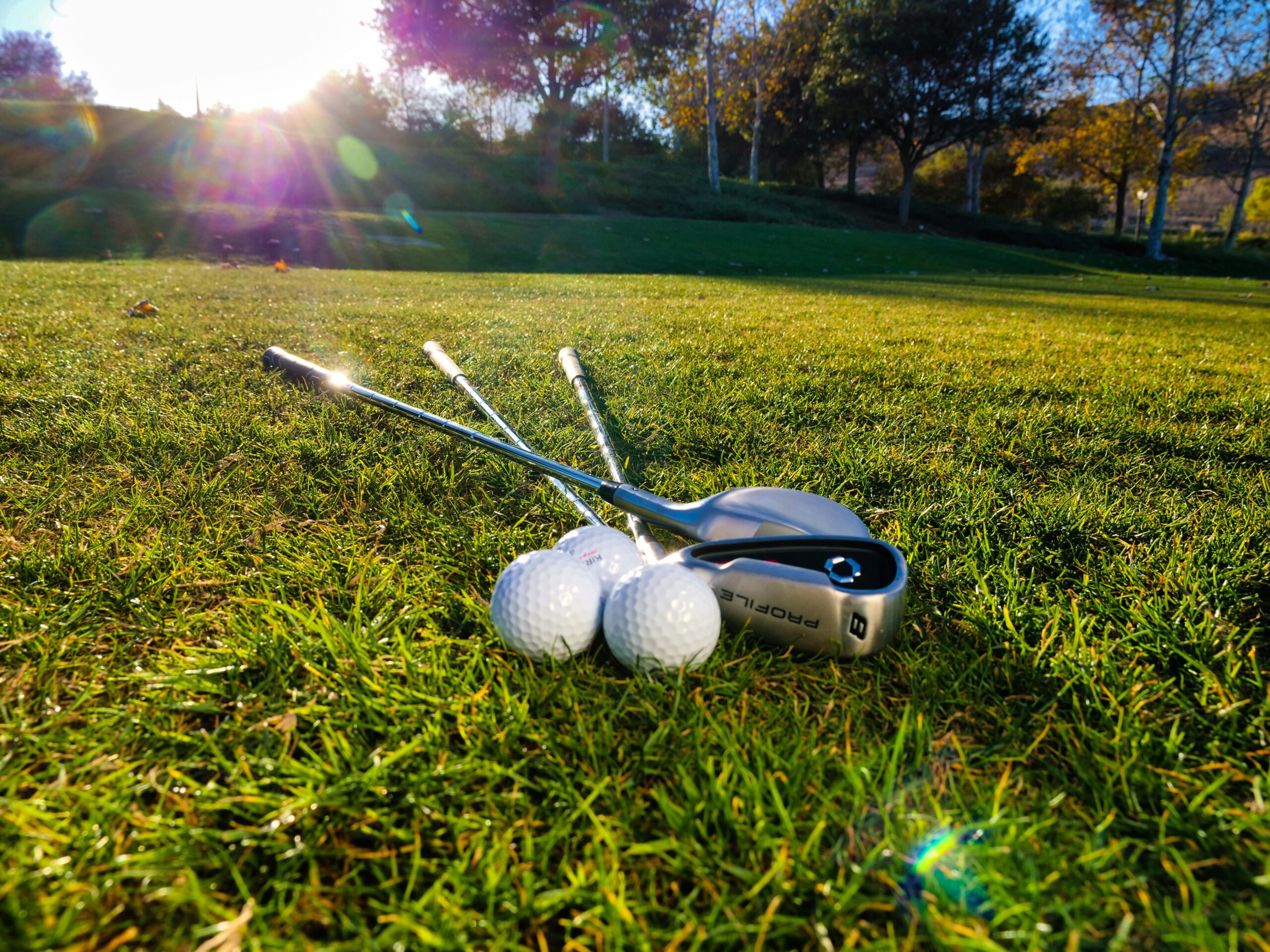 Read more about the article TRY TRY GREEN BAY BY EXCELLENTS